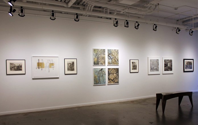 Donald Teskey Exhibitions